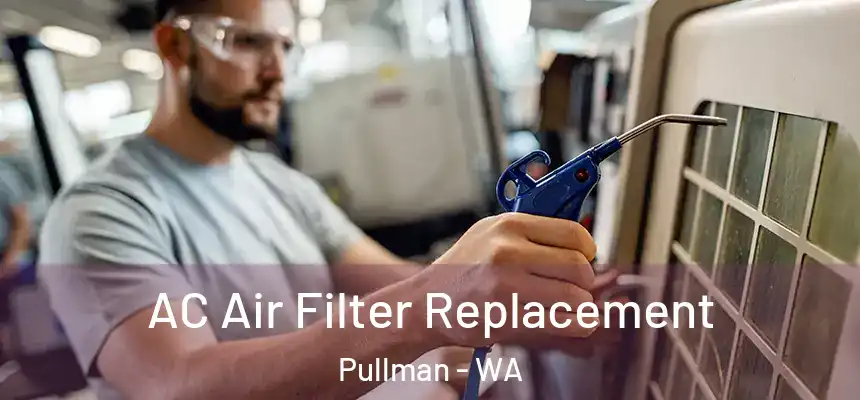 AC Air Filter Replacement Pullman - WA