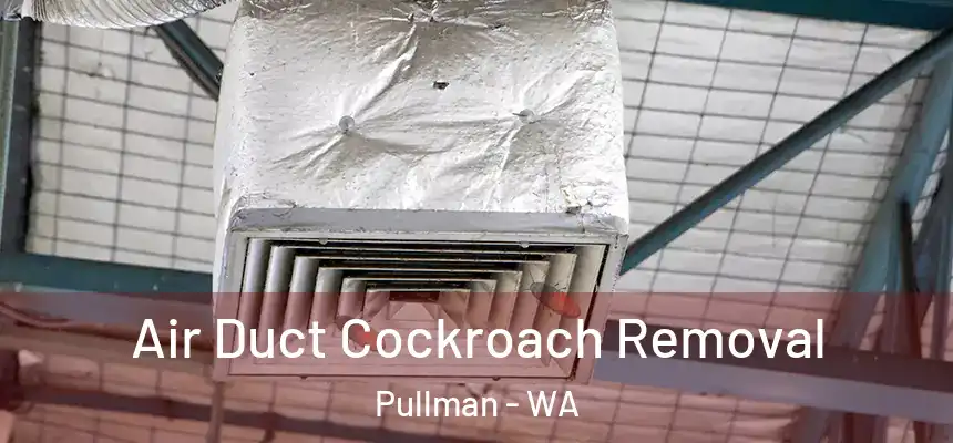 Air Duct Cockroach Removal Pullman - WA