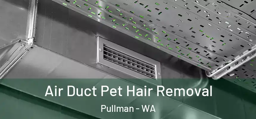 Air Duct Pet Hair Removal Pullman - WA