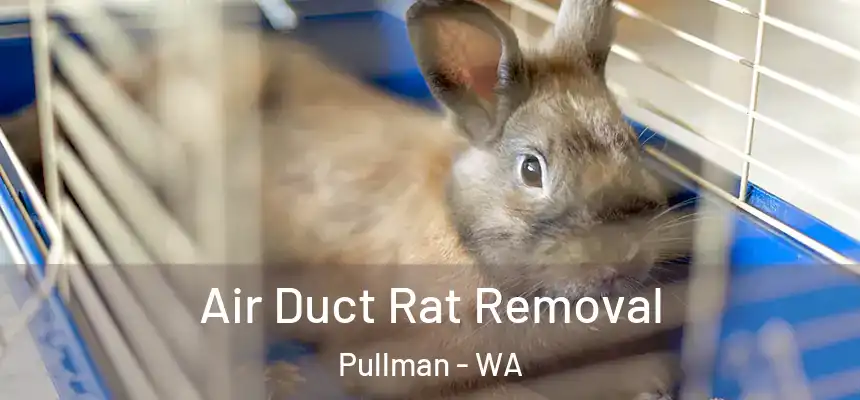  Air Duct Rat Removal Pullman - WA