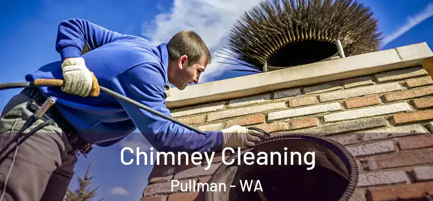 Chimney Cleaning Pullman - WA