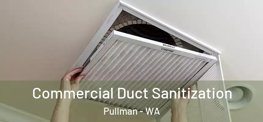 Commercial Duct Sanitization Pullman - WA