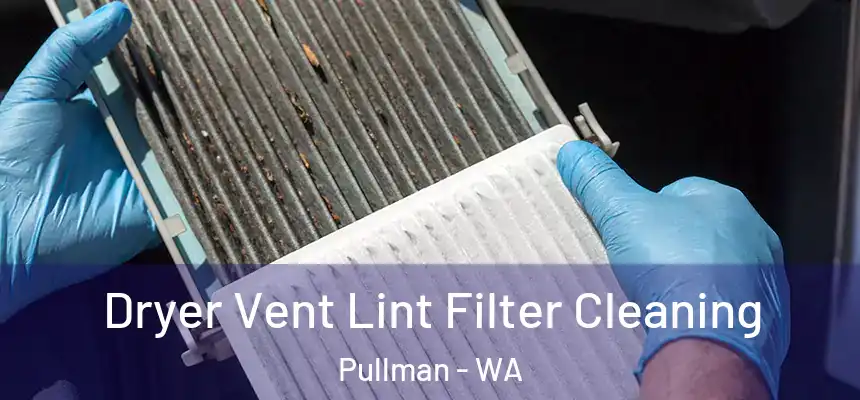 Dryer Vent Lint Filter Cleaning Pullman - WA