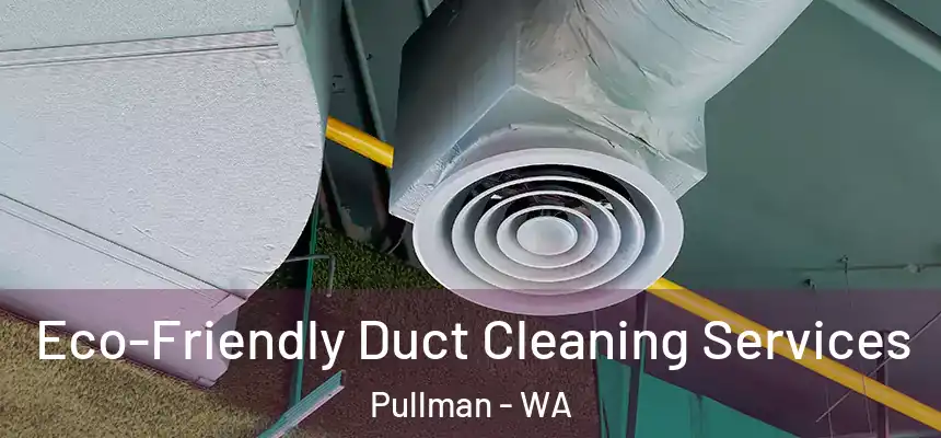 Eco-Friendly Duct Cleaning Services Pullman - WA