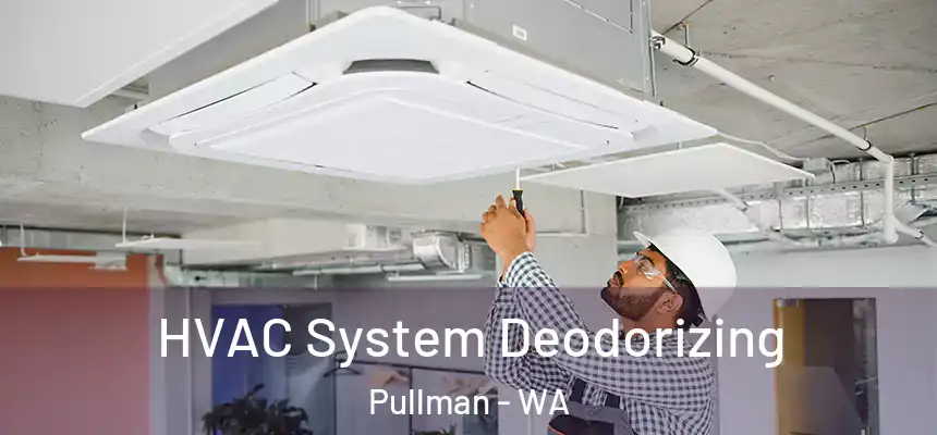 HVAC System Deodorizing Pullman - WA