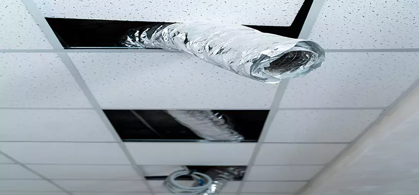 Affordable HVAC Sanitizing After Pest Removal in Pullman