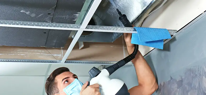 Our Air Duct Rodent Removal Services in Pullman, WA