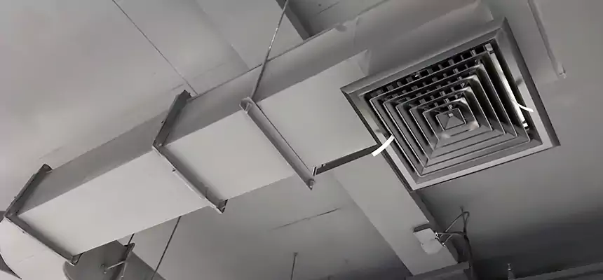 Restorative Allergy Relief Vent Cleaning – Coil, Blower & Housing Detail in Pullman