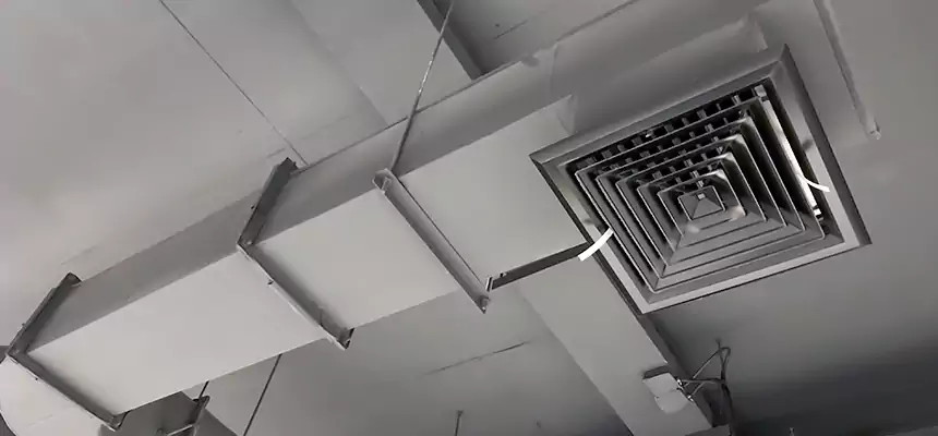 Our Pest Removal From Ducts Services in Pullman, WA