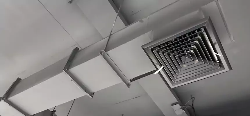 Our Rodent Droppings In Vents Services in Pullman, WA