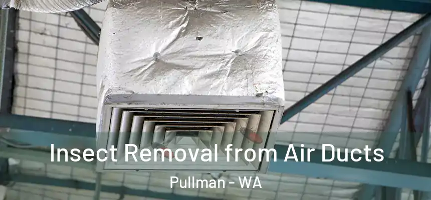 Insect Removal from Air Ducts Pullman - WA