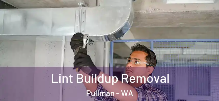 Lint Buildup Removal Pullman - WA