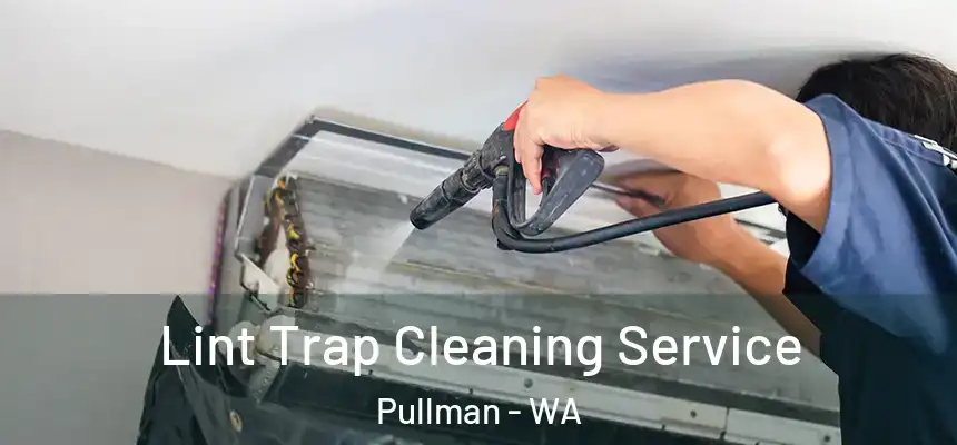 Lint Trap Cleaning Service Pullman - WA