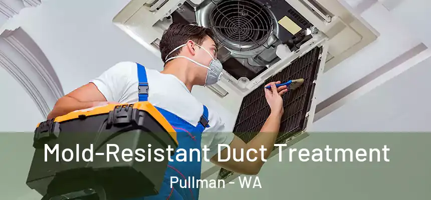 Mold-Resistant Duct Treatment Pullman - WA