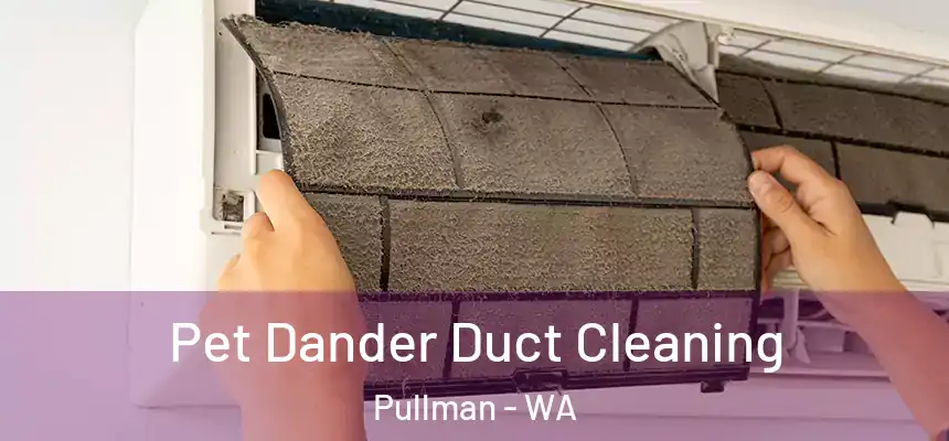 Pet Dander Duct Cleaning Pullman - WA