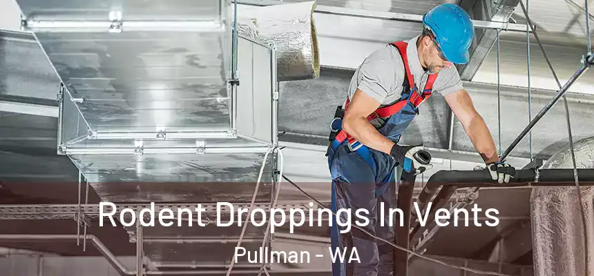 Rodent Droppings In Vents Pullman - WA