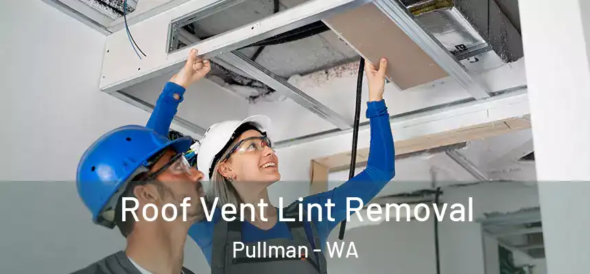  Roof Vent Lint Removal Pullman - WA