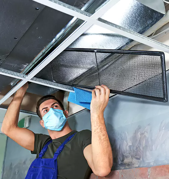 About Air Duct Bacteria Removal in Pullman