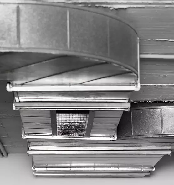 Professional Air Duct Pest Removal in Pullman, WA