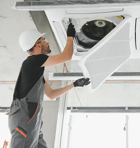 About Air Duct Rodent Removal in Pullman, WA