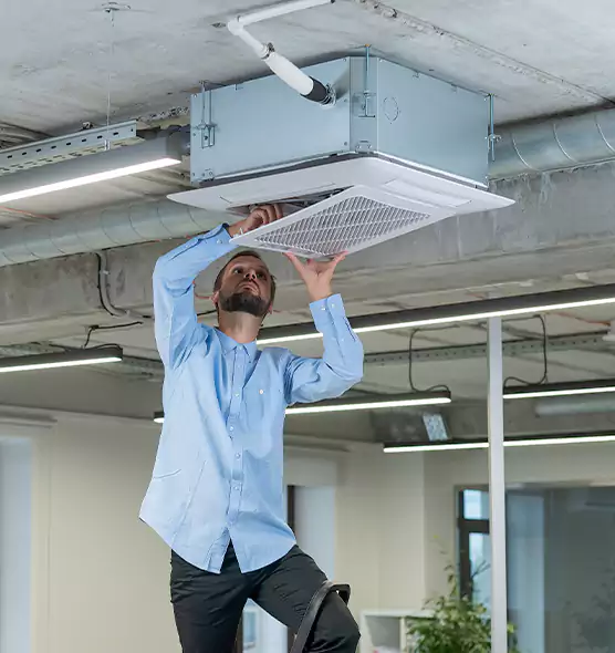 Advanced Rodent Droppings In Vents in Pullman, WA