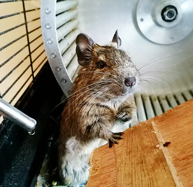 Why Homeowners & Businesses Trust Us Pullman, WA