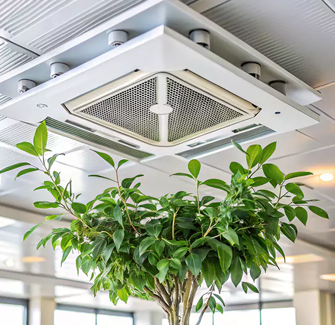 Why Homeowners & Businesses Trust Us in Pullman, WA?