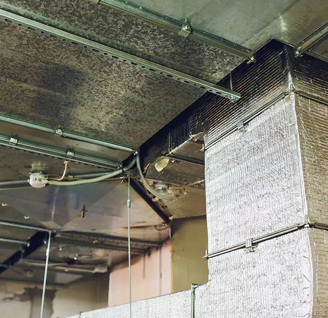 Why Homeowners & Businesses Trust Us in Pullman, WA?