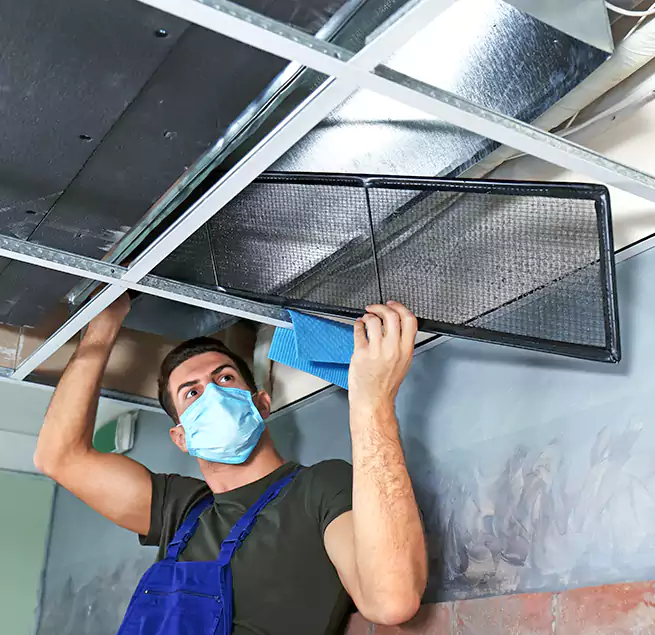 Why Homeowners Businesses Trust Us in Pullman, WA